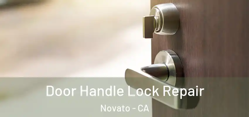  Door Handle Lock Repair Novato - CA